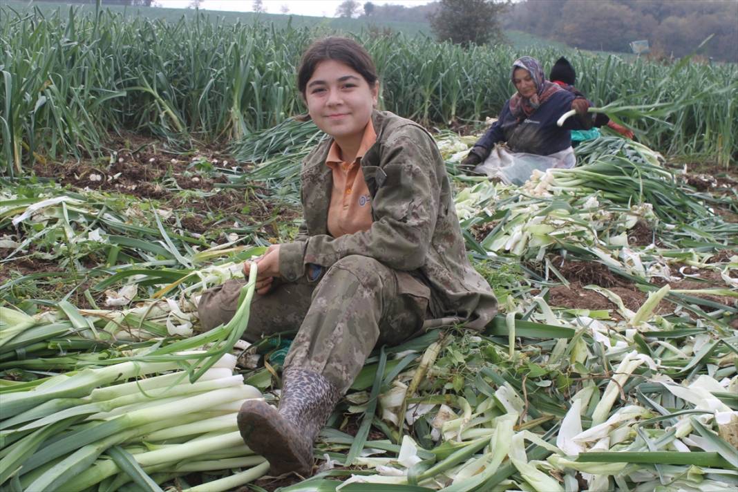 Tarlada 18, pazarda 25 TL! Konya'ya da gönderilen üründe hasat başladı 10